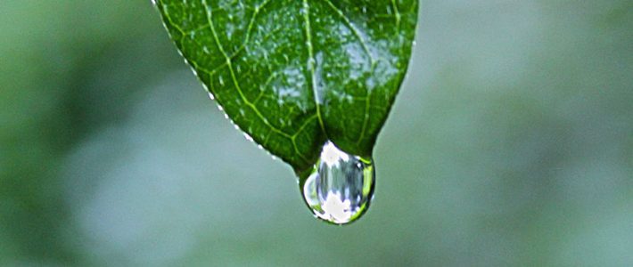 Table of Polar and Dispersive Components of Liquid Surface Tension